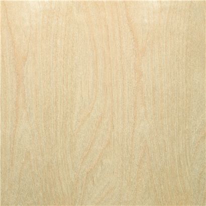 Birch, Veneer